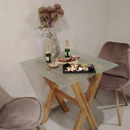 Mini Wellness Studio-near The Airport Smlednik