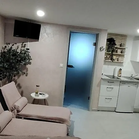 Mini Wellness Studio-near The Airport *