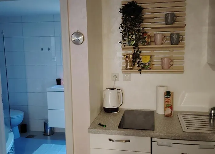 Mini Wellness Studio-near The Airport Appartement *