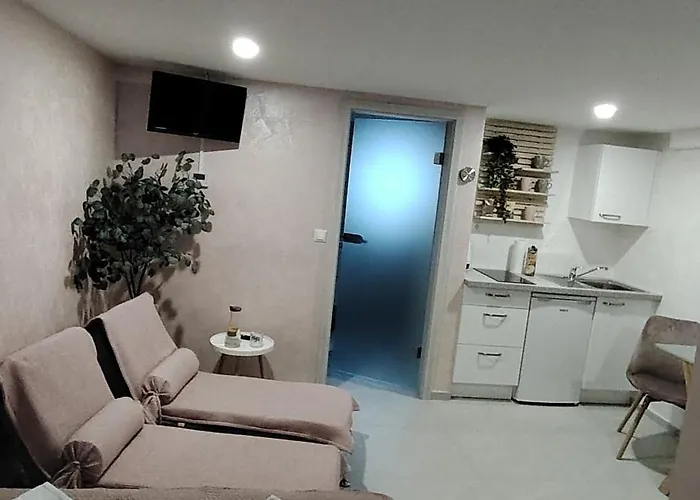 Mini Wellness Studio-near The Airport *